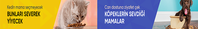 categori-img